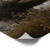 Rusty Railway Iron Arch Bridge Poster (Hoek)