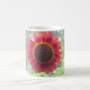 Rusty Red Sunflower Mok