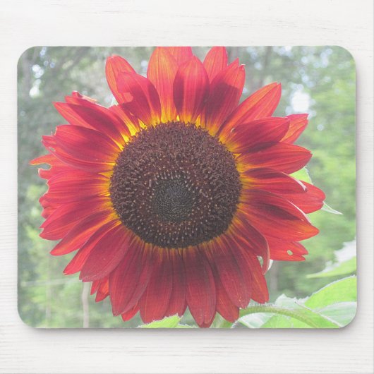 Rusty Red Sunflower Muismat (Voorkant)