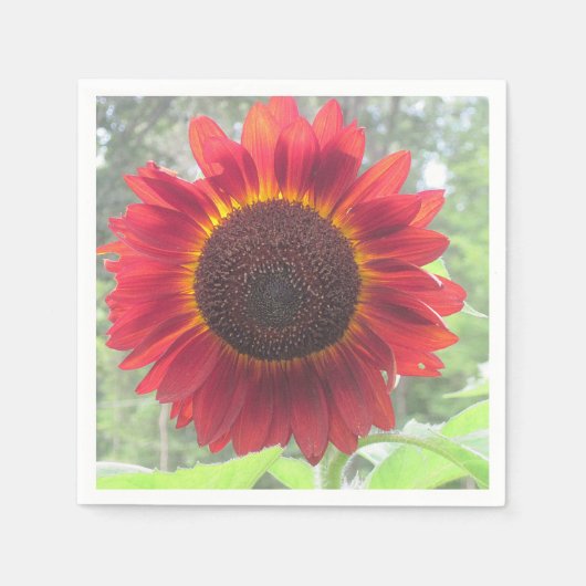 Rusty Red Sunflower Napkin Servet (Voorkant)