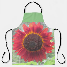 Rusty Red Sunflower Schort