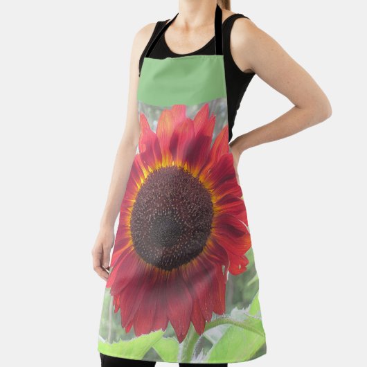 Rusty Red Sunflower Schort (Insitu)