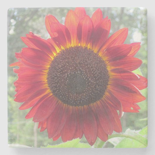 Rusty Red Sunflower Stenen Onderzetter (Voorkant)