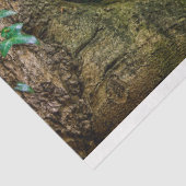 Rusty Red Truck  20x30-decoupage Tissuepapier (Detail)