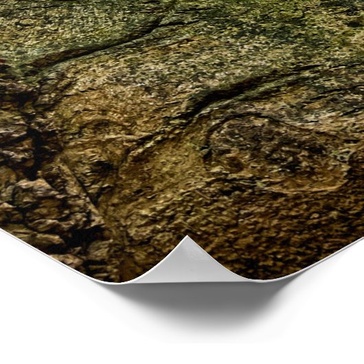 Rusty Red Truck Poster (Hoek)