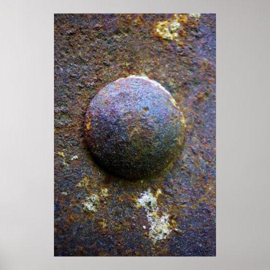 Rusty Steel Industrial Rivet Poster (Voorkant)
