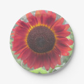 Rusty Sunflower Paper Bord (Voorkant)
