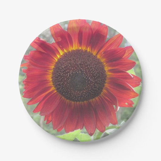 Rusty Sunflower Paper Bord (Voorkant)