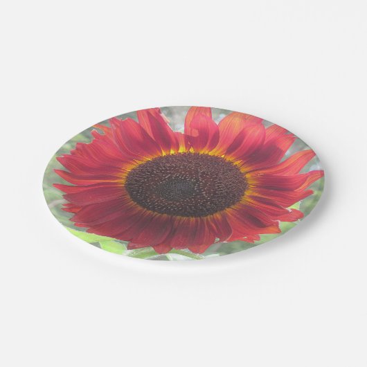 Rusty Sunflower Paper Bord (Gekanteld)