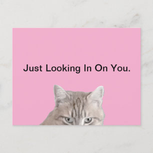 Rusty The Cat Pink Briefkaart