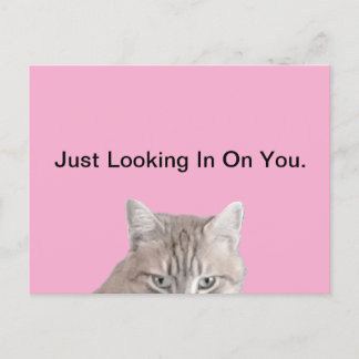 Rusty The Cat Pink Briefkaart