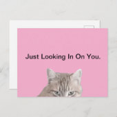 Rusty The Cat Pink Briefkaart (Voorkant / Achterkant)