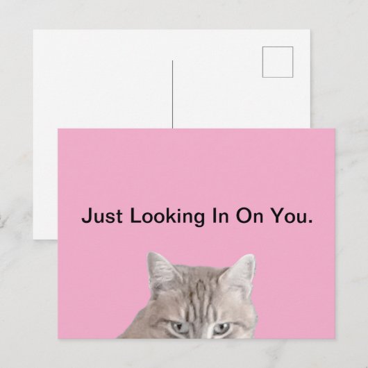 Rusty The Cat Pink Briefkaart (Voorkant / Achterkant)