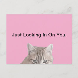 Rusty The Cat Pink Briefkaart