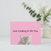 Rusty The Cat Pink Briefkaart (Staand voorkant)