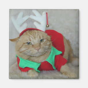 Rusty the Reindeer Elf Magneet