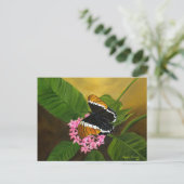Rusty-tipped Butterfly Briefkaart van Maria Willia (Staand voorkant)