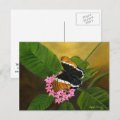 Rusty-tipped Butterfly Briefkaart van Maria Willia (Voorkant / Achterkant)