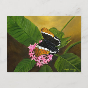 Rusty-tipped Butterfly Briefkaart van Maria Willia