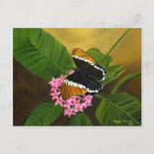Rusty-tipped Butterfly Briefkaart van Maria Willia (Voorkant)