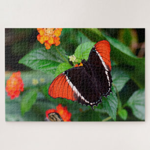 Rusty Tipped Page Butterfly . Legpuzzel