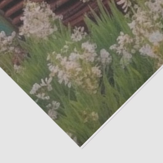 Rusty Truck Tissuepapier