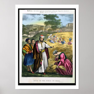 Ruth in het veld Boaz, van een bijbel, bedrukt doo Poster