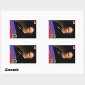 Rutherford B. Hayes-honkaarten Rechthoekige Sticker (Vel)