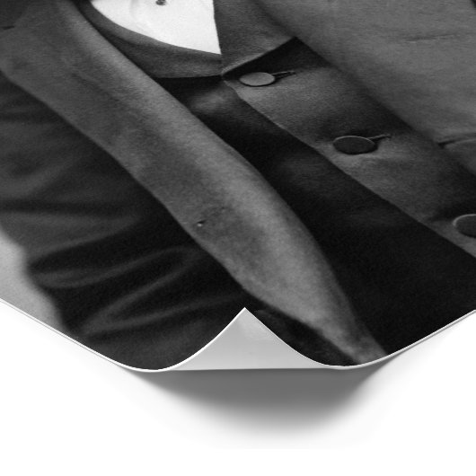 Rutherford B. Hayes Poster (Hoek)