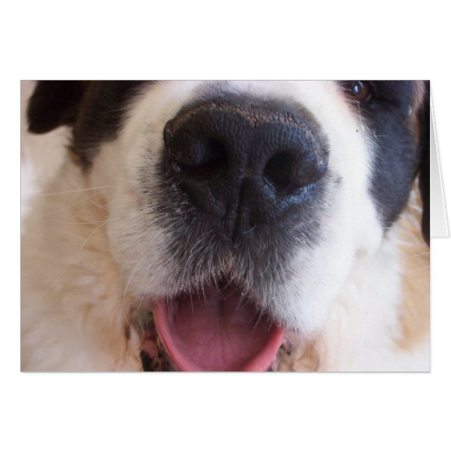 Ruthie's neus (Voorkant Horizontaal)