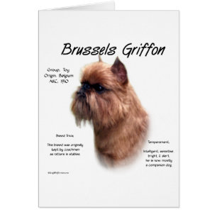 Ruw Brussel Griffon Geschiedenis
