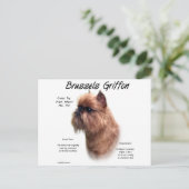 Ruw Brussel Griffon Geschiedenis Briefkaart (Staand voorkant)