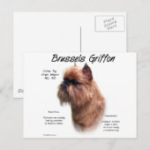 Ruw Brussel Griffon Geschiedenis Briefkaart (Voorkant / Achterkant)