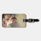 Ruw Collie Bagagelabel (Voorkant horizontaal)