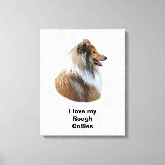 Ruw Collie dog portretfoto Canvas Afdruk (Voorkant)