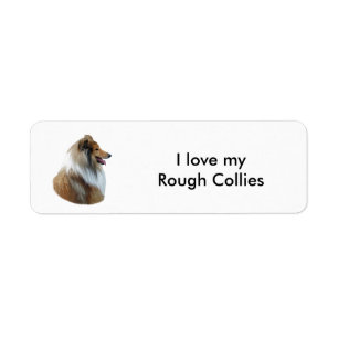 Ruw Collie dog portretfoto Etiket