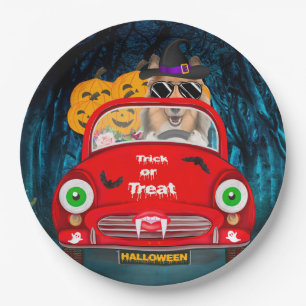 Ruw collie Dog Rijvaardigheid auto Scale Halloween Papieren Bordje
