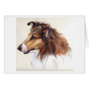 Ruw Collie Gepiliseerd in Waterverf