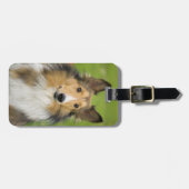 Ruw Collie, hond Bagagelabel (Voorkant horizontaal)