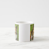 Ruw Collie, hond Espresso Kop (Voorkant)