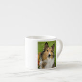 Ruw Collie, hond Espresso Kop (Voorkant rechts)