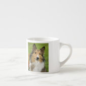 Ruw Collie, hond Espresso Kop (Rechts)
