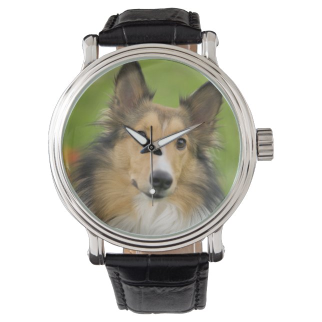 Ruw Collie, hond Horloge (Voorkant)