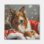 Ruw Collie Hond Kerstfeest Magneet (Voorkant)