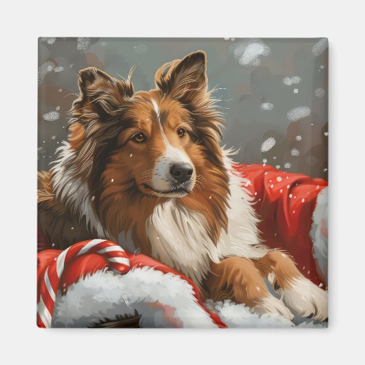 Ruw Collie Hond Kerstfeest Magneet (Voorkant)