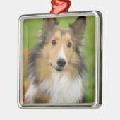 Ruw Collie, hond Metalen Ornament (Links)