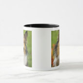 Ruw Collie, hond Mok (Midden)