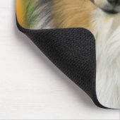 Ruw Collie, hond Muismat (Hoek)