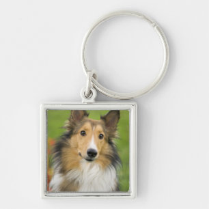 Ruw Collie, hond Sleutelhanger