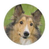 Ruw Collie, hond Snijplank (Voorkant)